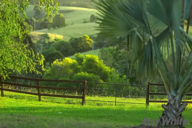 Sixth view of Homely rural property listing, 342 North Maleny Road, North Maleny QLD 4552
