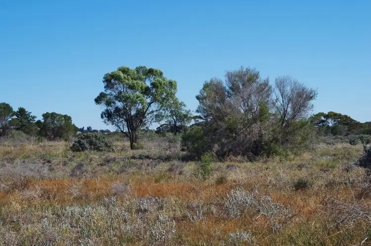 Fifth view of Homely rural property listing, Lot 2 Story Avenue, Renmark SA 5341