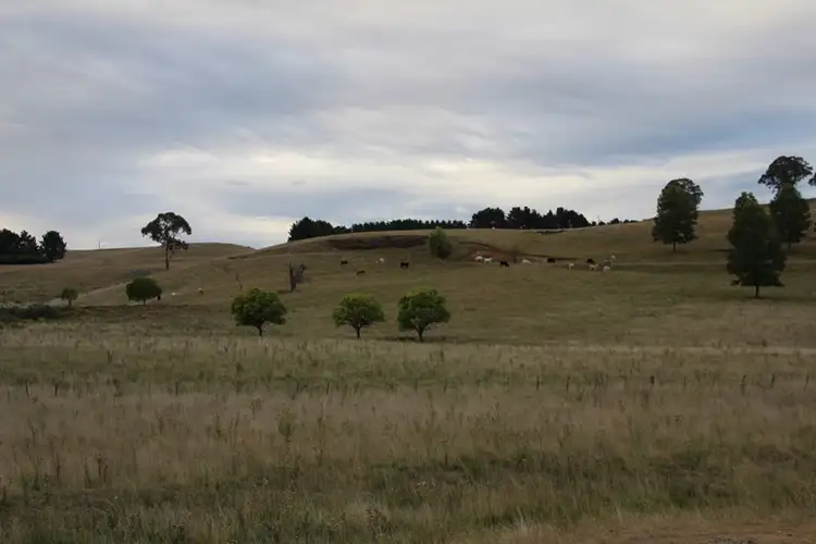 Fourth view of Homely rural property listing, 7356 Guyra Road, Guyra NSW 2365