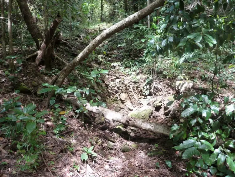 Seventh view of Homely land listing, Lot 8 De Meio Drive, Lower Daintree QLD 4873