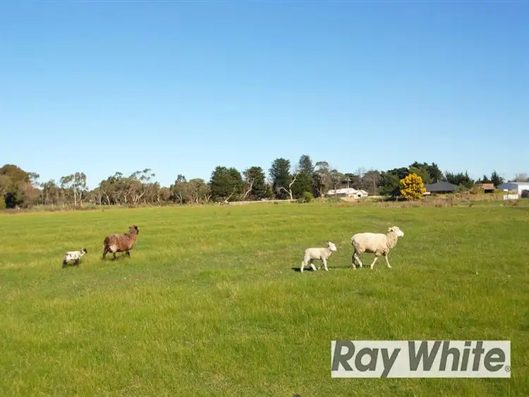 Fifth view of Homely rural property listing, 56 Bungower Road, Somerville VIC 3912