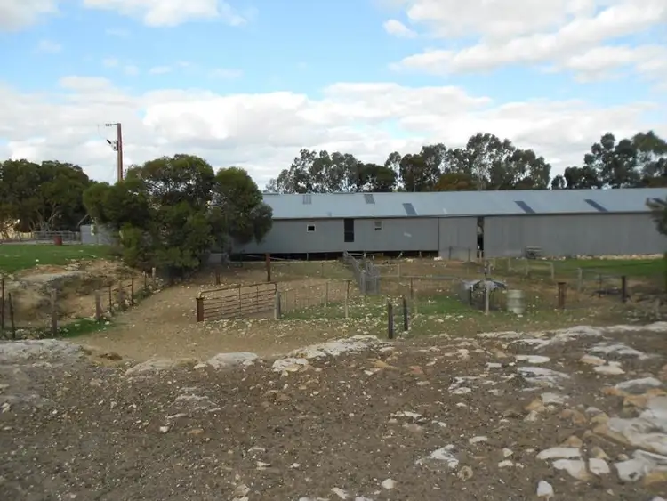 Second view of Homely rural property listing, 1028 Ladara Bore Road, Ki Ki SA 5261