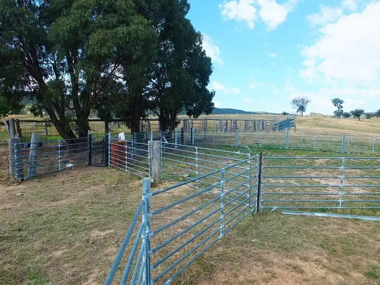 Fourth view of Homely rural property listing, Address available on request