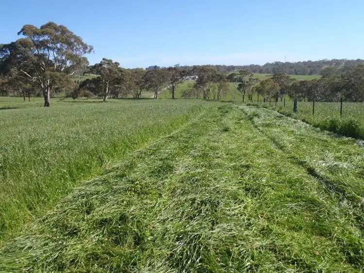 Fifth view of Homely rural property listing, Lot 101 Frampton Road, Mount Barker SA 5251