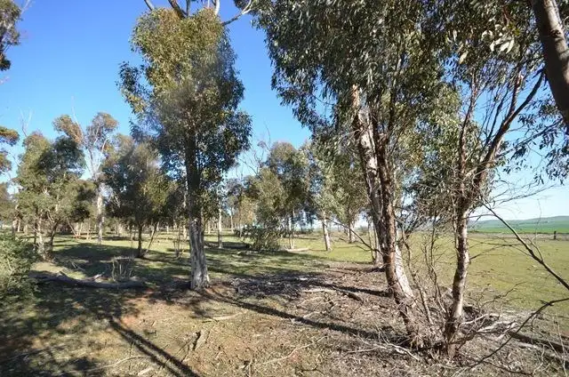Fifth view of Homely rural property listing, Lot 160 Road 137, Leighton SA 5417