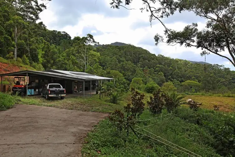 Seventh view of Homely house listing, 1484 Currumbin Creek Road, Currumbin Valley QLD 4223