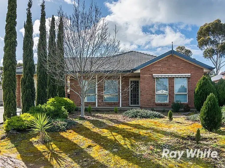 4 Blue Court, Strathalbyn SA 5255