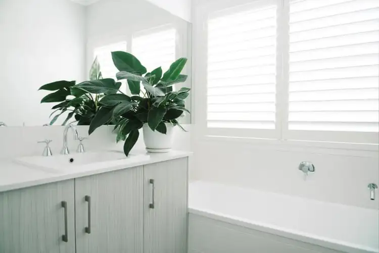 Seventh view of Homely house listing, 6 Lockyer Street, Kleinton QLD 4352