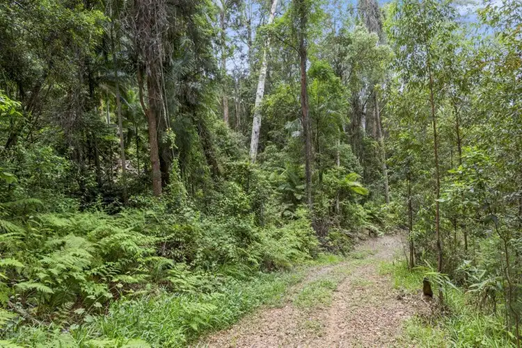 Third view of Homely rural property listing, Lot 5 Booka Road, Upper Crystal Creek NSW 2484