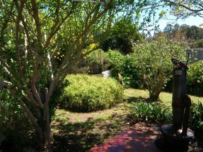 Second view of Homely house listing, 16 Adam Street, Nannup WA 6275