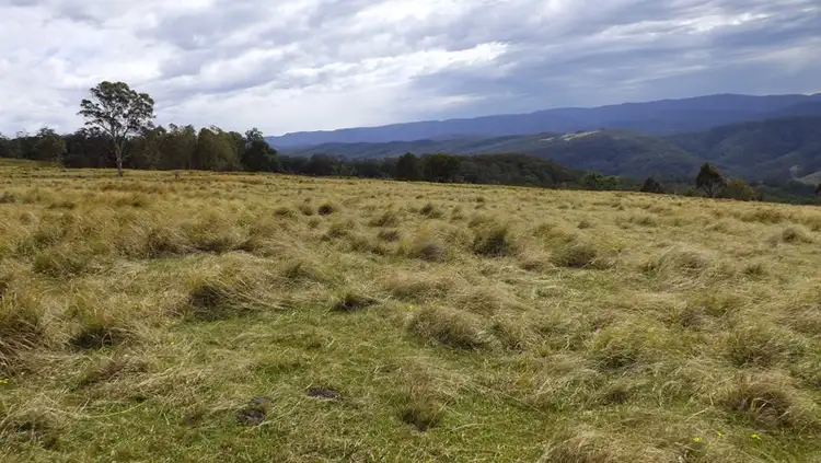 Second view of Homely rural property listing, Address available on request