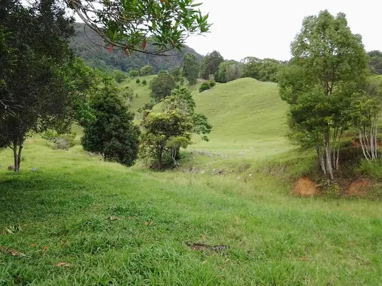 Fourth view of Homely land listing, 1318 Currumbin Creek Road, Currumbin Valley QLD 4223