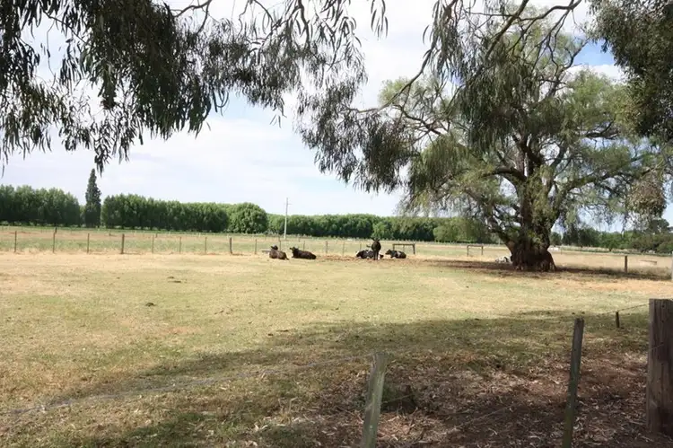 Third view of Homely house listing, 695 Bamawm Hall Road, Bamawm VIC 3561
