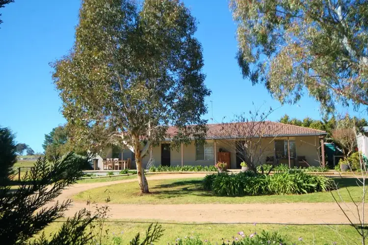111 Ricketts Road, Young NSW 2594