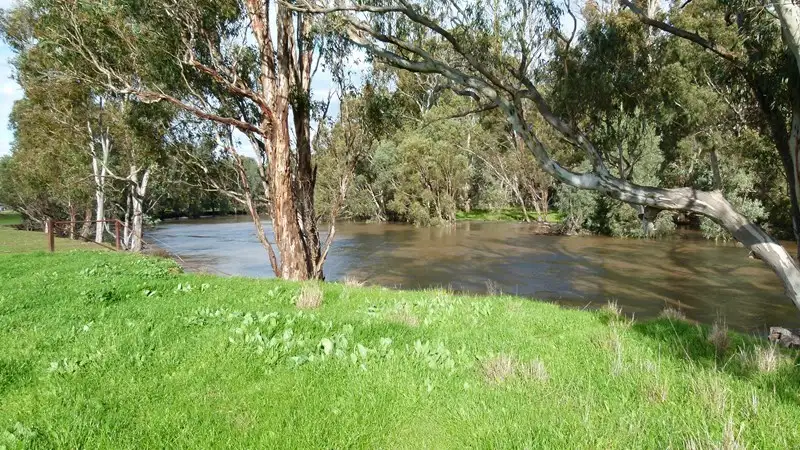 Main view of Homely rural property listing, 10585 The Escort Way, Forbes NSW 2871