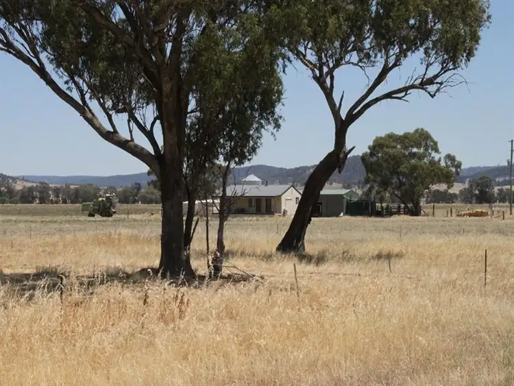 Sixth view of Homely rural property listing, 10 Eulimore Road, Eugowra NSW 2806