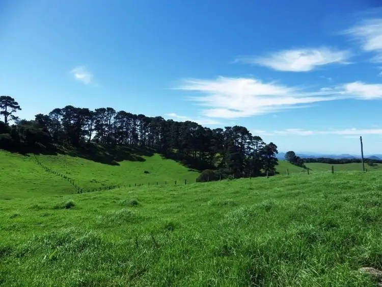 Seventh view of Homely rural property listing, 5287 Waterfall Way, Dorrigo NSW 2453