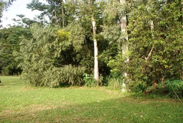 Sixth view of Homely land listing, 40 Sanctuary Crescent, Wongaling Beach QLD 4852