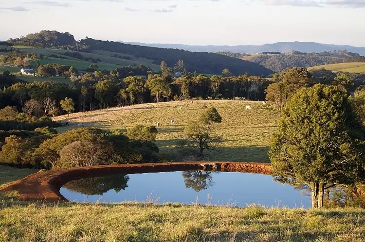 Main view of Homely rural property listing, 5615 Waterfall Way, Dorrigo NSW 2453
