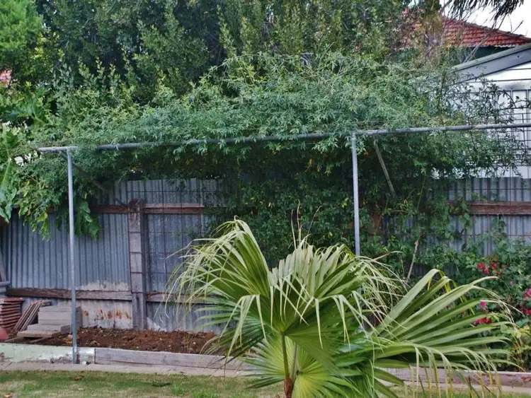 Seventh view of Homely house listing, 10 Graetz Street, Murray Bridge SA 5253