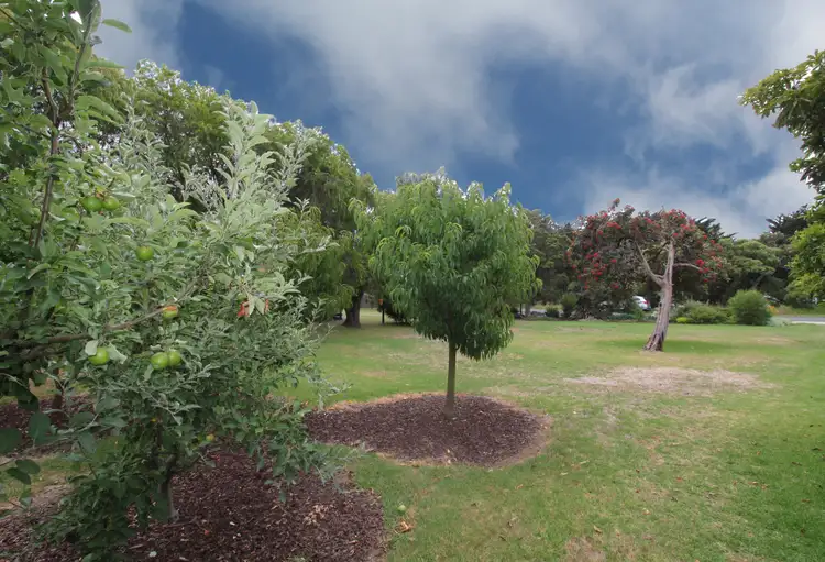 Second view of Homely land listing, 19 Phillip Island Road, Sunset Strip VIC 3922