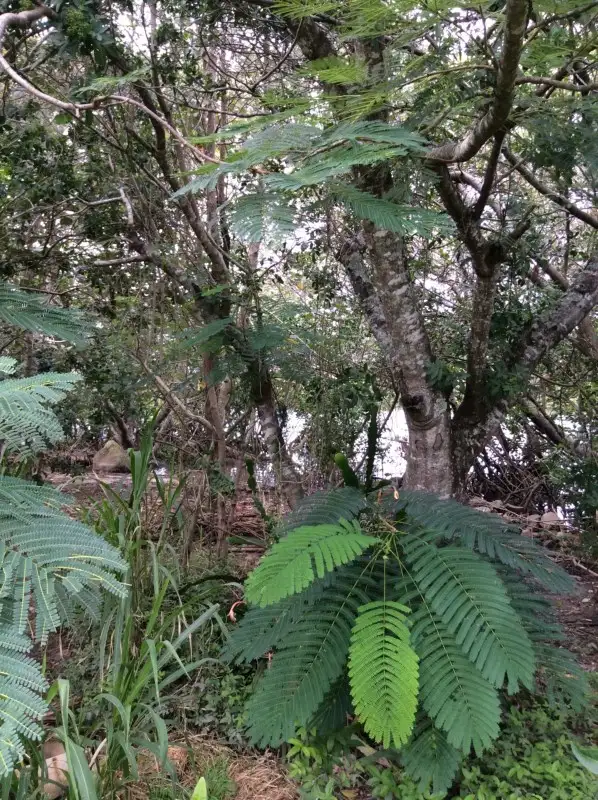 Seventh view of Homely townhouse listing, 3/178 Kennedy Drive, Tweed Heads West NSW 2485