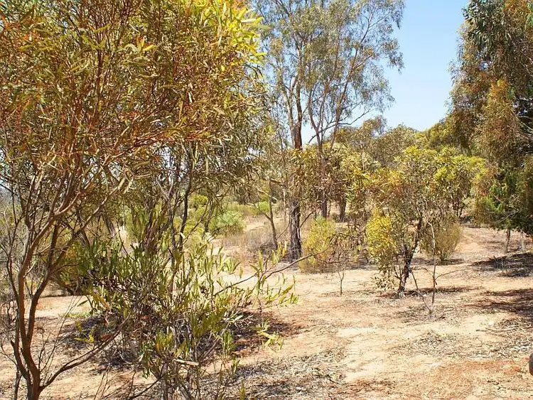 Fifth view of Homely land listing, Lot 81 Emu Road, Murray Bridge SA 5253