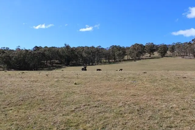 Fifth view of Homely rural property listing, 499 Cuthill Road, Oberon NSW 2787