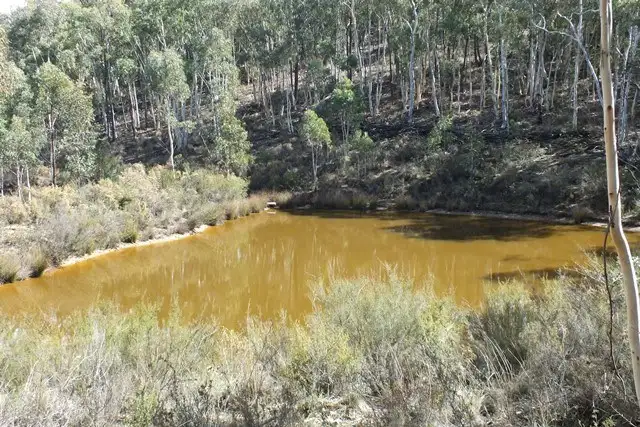 Sixth view of Homely rural property listing, 209 Soliders Hill Road, Wisemans Creek NSW 2795