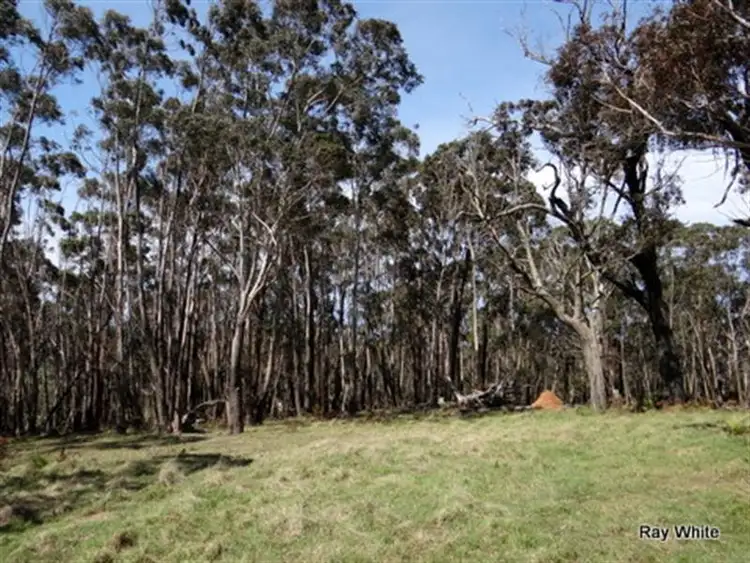 Seventh view of Homely rural property listing, 105 Kings Highway, Braidwood NSW 2622