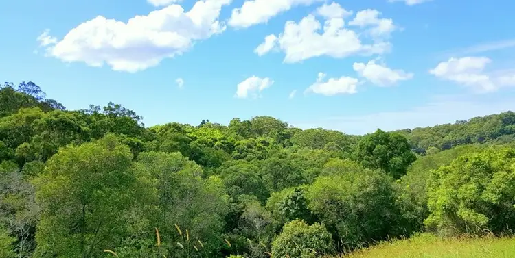 Fourth view of Homely land listing, 4 Tallowood Terrace, Currumbin Valley QLD 4223