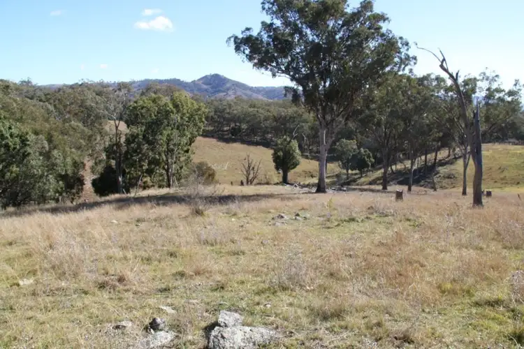 Seventh view of Homely land listing, Lot 352 Splitters Gully Road, Nundle NSW 2340