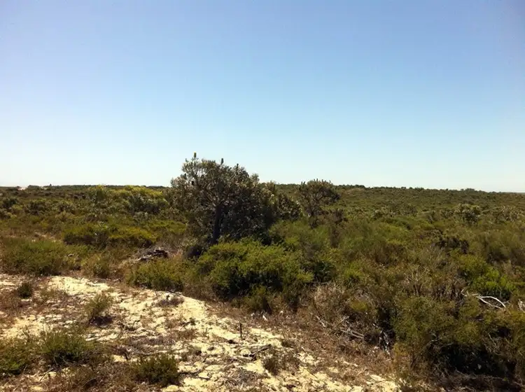 Fifth view of Homely land listing, Lot 296 Sulina Crescent, Jurien Bay WA 6516