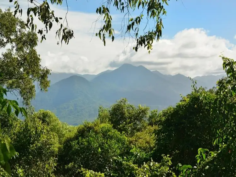 Third view of Homely land listing, LOT 1 COLENSO Road, Port Douglas QLD 4877