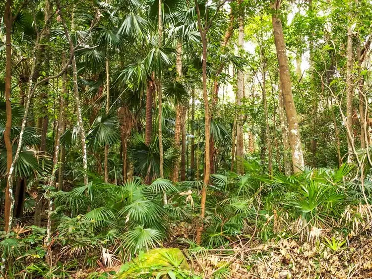 Sixth view of Homely house listing, 44 Chellow Dene Avenue, Stanwell Park NSW 2508