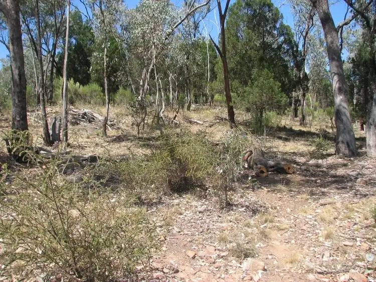 Seventh view of Homely rural property listing, Lot 12 White Horse Road, Cowra NSW 2794