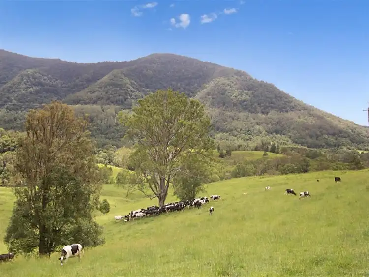 Sixth view of Homely rural property listing, Lot 42 Stoddarts Road, Tyalgum NSW 2484