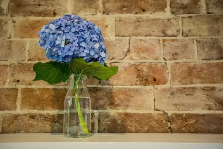 Fourth view of Homely house listing, 47 Alfred Street, Mittagong NSW 2575