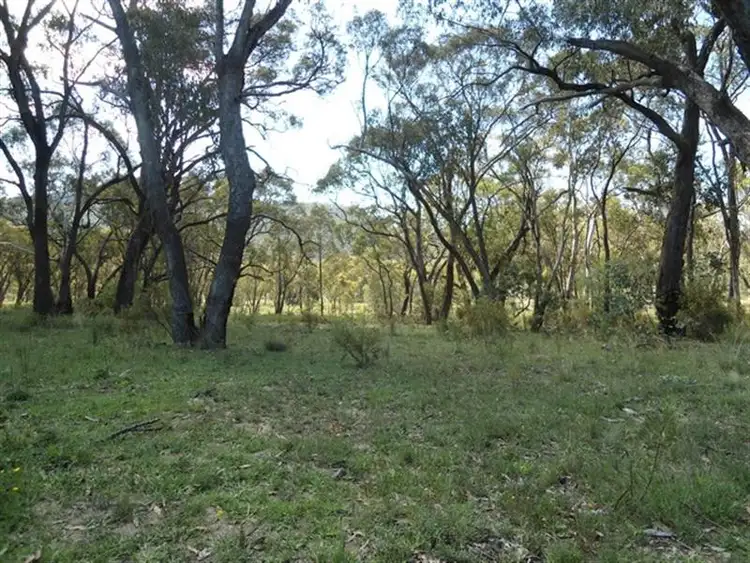 Sixth view of Homely rural property listing, 282 Mt Haven Way, Bathurst NSW 2795