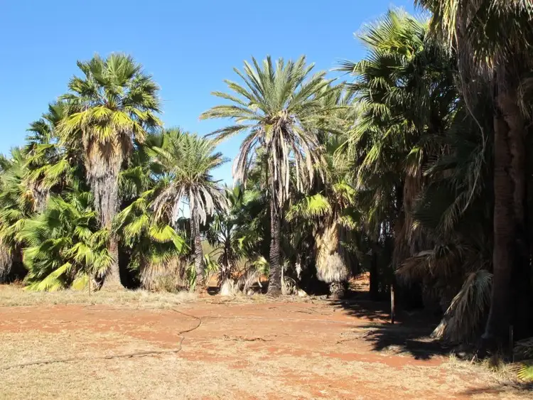 Seventh view of Homely rural property listing, Marron Station, Carnarvon WA 6701