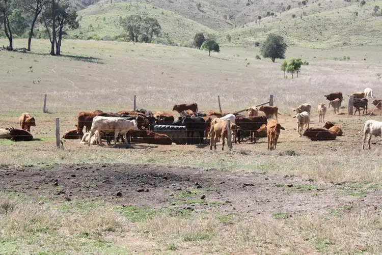 Sixth view of Homely rural property listing, 19545 Burnett Highway, Mundubbera QLD 4626