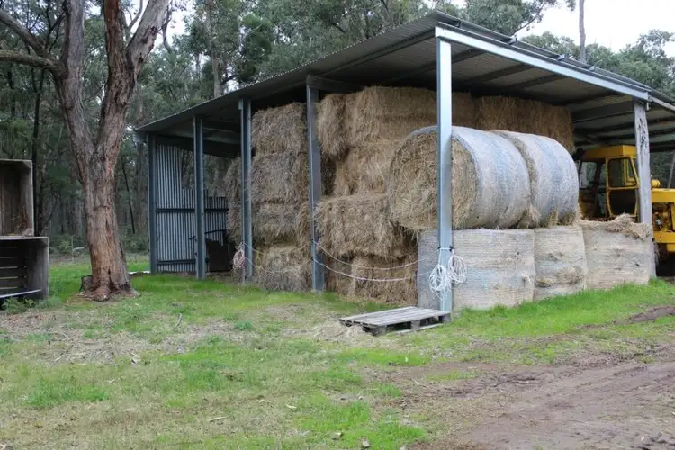 Fifth view of Homely rural property listing, 0 Cains Road, Condah VIC 3303