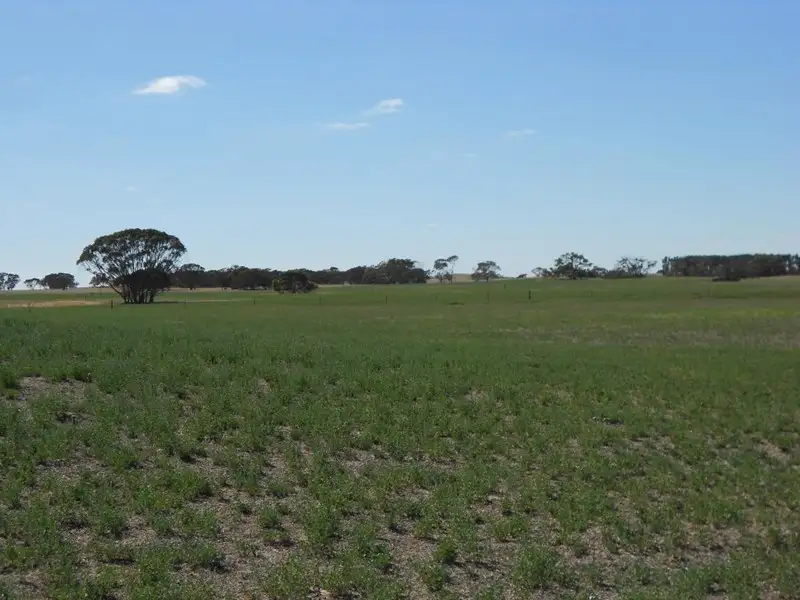 Main view of Homely rural property listing, 966 Pine Hill Road, Bordertown SA 5268