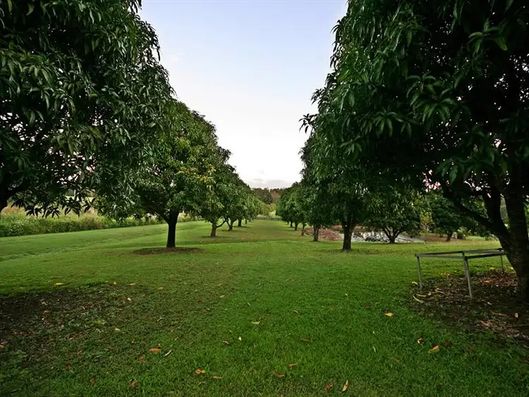 Sixth view of Homely house listing, 273 Shute Harbour Road, Mount Julian QLD 4800