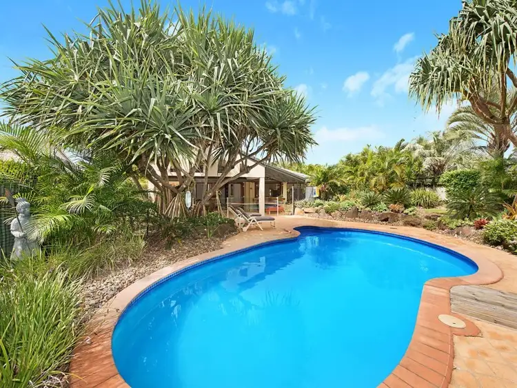 Second view of Homely house listing, 31 Molakai Drive, Mountain Creek QLD 4557