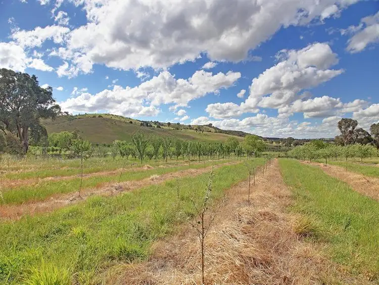 Fifth view of Homely rural property listing, "Kildare Park" Bevandale Road via Dalton, Gunning NSW 2581