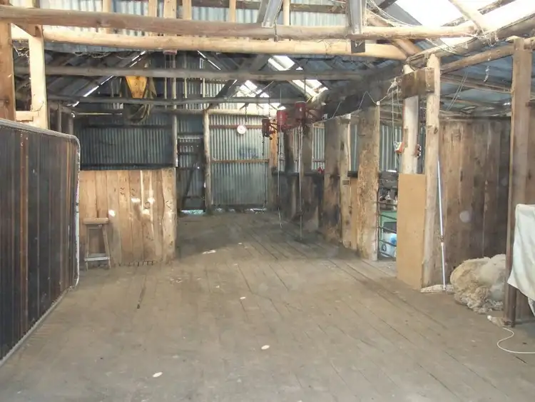 Seventh view of Homely rural property listing, 2102 Turondale Road, Bathurst NSW 2795