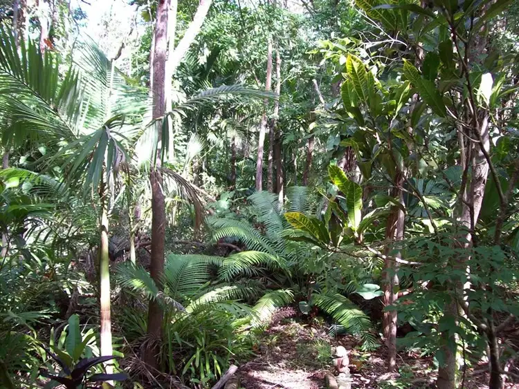 Fourth view of Homely house listing, 287 Saltwater Creek Road, Conway QLD 4800