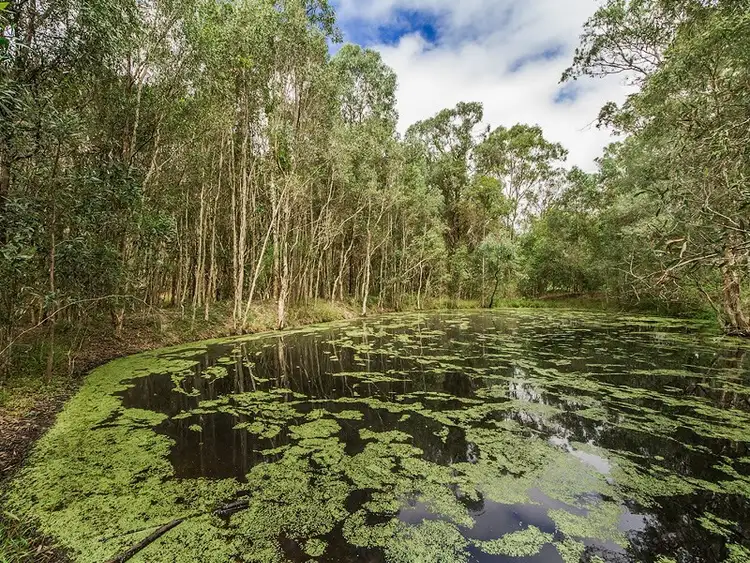 Fifth view of Homely house listing, 27 Birds Road, Maudsland QLD 4210