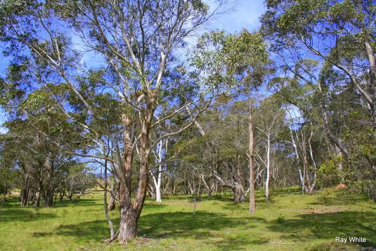 Seventh view of Homely rural property listing, 15 Avondale Road, Mongarlowe NSW 2622